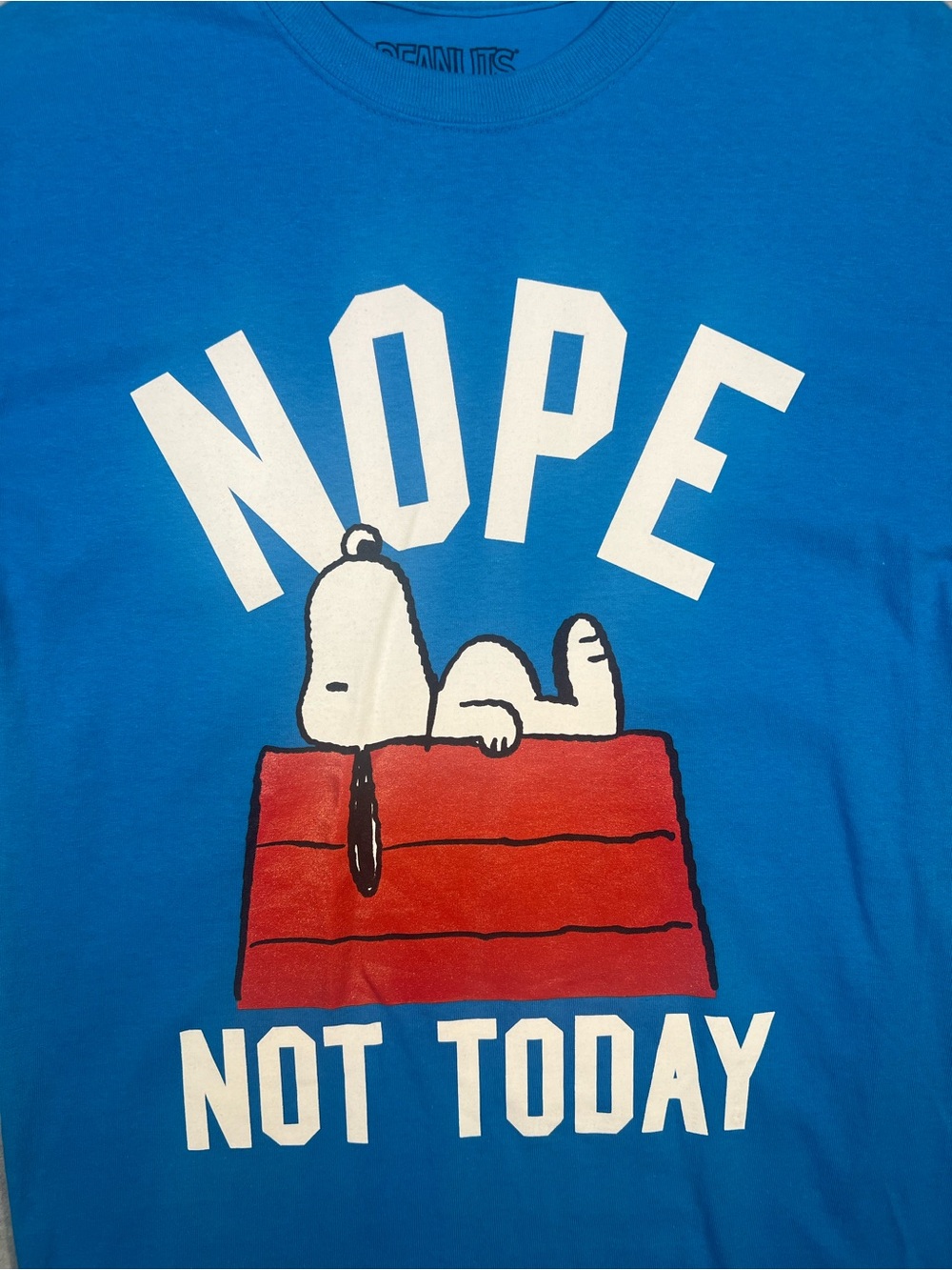 Peanuts Blue Snoopy 'NOPE' Graphic Tee